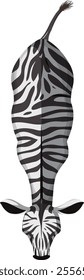 Stylized zebra from above with bold stripes