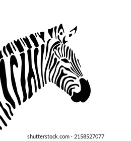 Stylized zebra. Black and white stripes. Print, banner, label, poster, sticker, logo, promotional material. Vector illustration.