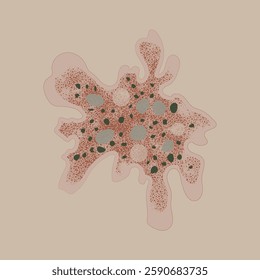 A stylyzed scientific illustration of an amoeba Chaos sp. cell with irregular pseudopodia, organelles, and textured cytoplasm, set against a soft beige background
