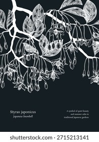Styrax handgezeichnete Vektorgrafik auf Kreidetafel. Japanische Schneeballpflanze mit blühenden Blumen Skizze. Flotal Poster Design. KEINE AI generiert