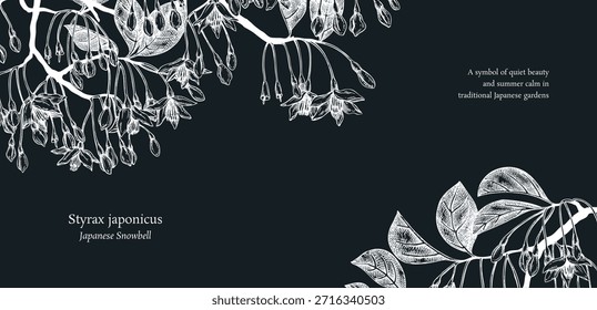 Styrax handgezeichnete Vektorgrafik auf Kreidetafel. Japanische Schneeballpflanze mit blühenden Blumen Skizze. Flotal Banner Design. KEINE AI generiert
