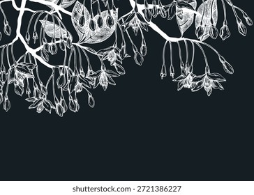 Styrax handgezeichnete Vektorgrafik auf Kreidetafel. Japanische Schneeballpflanze mit blühenden Blumen Skizze. Design mit flotalem Hintergrund. KEINE AI generiert