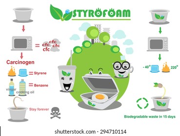 Styrofoam Health Info graphics are cute and simple, vector illustration.