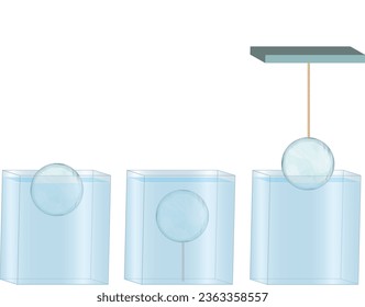 Sıvı basıncı, sıvı, basınç, su, hava, gaz, gaz basıncı, kap, beher, deney, görsel, fizik, kimya, ders, tüp, deney tüpü, Liquid Pressure, Liquid, Pressure, Water, Air, Gas, Gas Pressure, Container