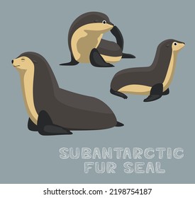 Subantarctic Fur Seal Cartoon Vector Illustration
