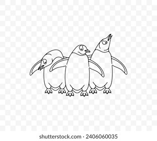 Subantarctic penguin or gentoo penguins, graphic design. Animal, bird, avian, feathered, antarctica and nature, vector design and illustration