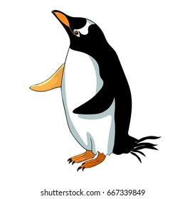 Subantarctic a penguin papuan thinking  Vector illustration