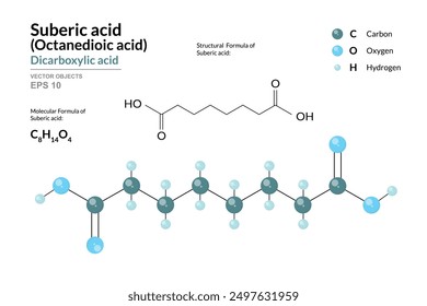 Suberic Acid. Structural Chemical Formula and 3d Model of Molecule. C8H14O4. Atoms with Color Coding. Vector graphic Illustration for educational materials, scientific articles, and presentations