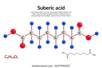 Suberic, or octanedioic acid, molecular structure formula, ball-and-stick model, suitable for education or chemistry science content. Vector illustration