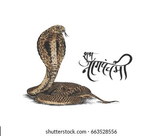 Subh Nag Panchami - mahashivaratri Poster, Hand Drawn Sketch Vector illustration.