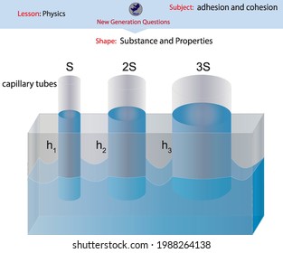 Substance and Properties adhesion and cohesion physics