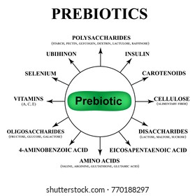 Substances prebiotics. Food for lactobacilli and bifidobacteria. Infographics. Vector illustration on isolated background.