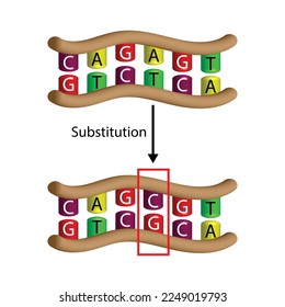 Substitution mutation, error during DNA replication, one nucleotide is replaced by a different nucleotide. Genomics, Scientific design, Vector illustration.