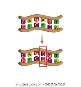 Substitutionsmutation, Fehler bei der DNA-Replikation, ein Nukleotid wird durch einen anderen Nukleotid ersetzt. Genomik, Wissenschaftliches Design, Vektorgrafik