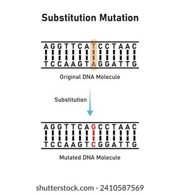 Substitution Mutation Scientific Design. Vector Illustration.