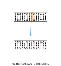 Substitution Mutation Scientific Design. Vector Illustration.