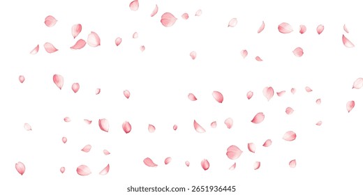 Pétalas de flor de macieira sutil espalhadas na ilustração vetorial de fundo branco. Elementos de decoração de flores do dia da mulher. Tranquil primavera pétalas de flor rosa suave fundo floral aromático.
