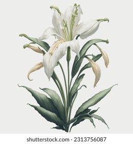 The subtle brushstrokes and soft pastel tones bring out the intricate details of the petals and the graceful curves of the blooms. Perfect for adding a touch of serenity and renewal to your designs