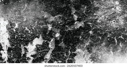 The Subtle Complexity Found in the Wounds of a Weathered World


