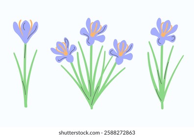 Subtle vector crocuses isolated on a light background. Spring botanical decorative floral clipart for nature-inspired projects