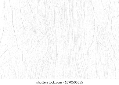 Subtle white wood texture background of birch plywood grain. Cool light grey natural wooden texture wallpaper. Vector EPS10.