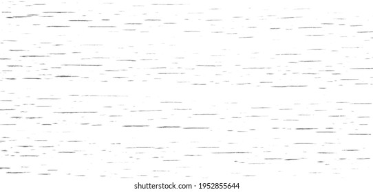 Subtle white wood texture background of distressed beech grain. Cool light grey natural wooden texture wallpaper. Birch bark overlay pattern. Vector EPS10.