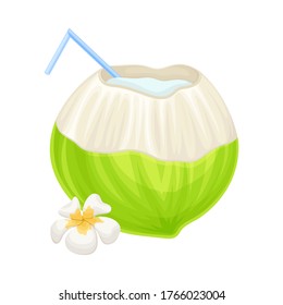Subtropical Coconut Cocktail in Green Coconut Shell with Straw and Plumeria Flower Vector Illustration