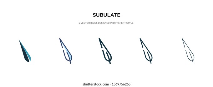 subulate icon in different style vector illustration. two colored and black subulate vector icons designed in filled, outline, line and stroke style can be used for web, mobile, ui