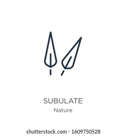 Subulate icon. Thin linear subulate outline icon isolated on white background from nature collection. Line vector sign, symbol for web and mobile