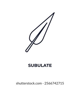 subulate outline icon. Linear vector from nature concept. Thin line subulate icon isolated on white background