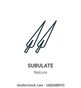 Subulate outline vector icon. Thin line black subulate icon, flat vector simple element illustration from editable nature concept isolated stroke on white background