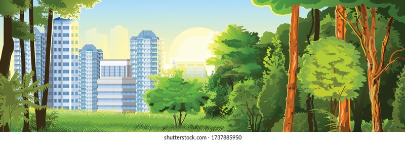 Suburban horizontal landscape. Vector. Forest in the vicinity of the city. Skyline, sun. Scenery with dawn, sunset. Background image. Park, trees.