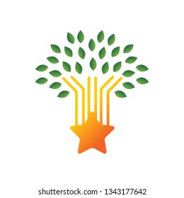 Success Star Logo Design Template Isolated