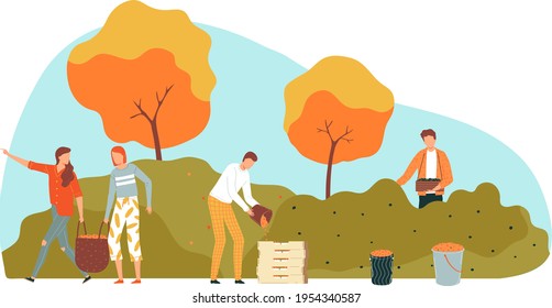 Successful agriculture, autumn harvest berries, beautiful nature, design cartoon style vector illustration, isolated on white.