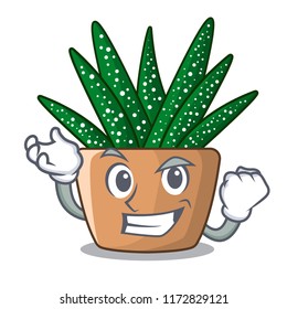 Successful character small zebra cactus plant on pot