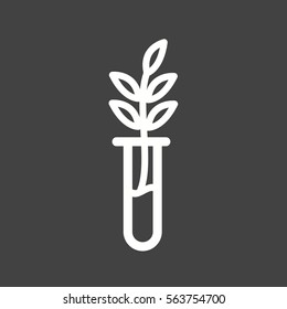 Successful Growth