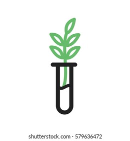 Successful Growth