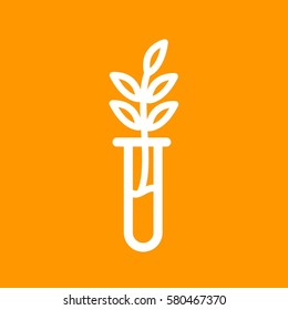 Successful Growth