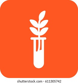 Successful Growth