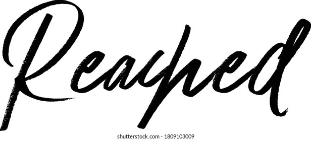 Successful Traits Synonyms text. Only one single word. Printable graphic tee. Design doodle for print. Vector illustration. Colorful. Hand drawn calligraphy style. Black and white