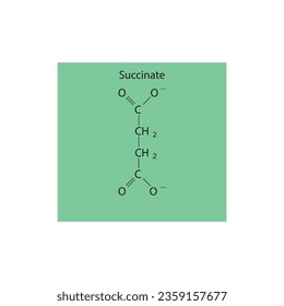 Succinate Dicarboxylic Acid - intermediate in the citric acid cycle Molecular structure skeletal formula on green background.