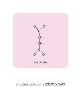 Succinate Dicarboxylic Acid - intermediate in the citric acid cycle Molecular structure skeletal formula on pink background.