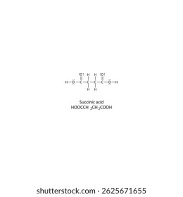 Succinic acid Lewis structure. Simple chemical schematic illustration. Educational diagram