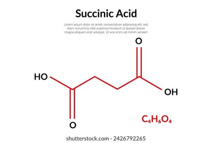 Succinic acid molecular structure formula, suitable for education or chemistry science content. Vector illustration