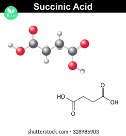 Succinic acid molecule, succinate, structural chemical formula and model, 2d & 3d vector, isolated on white background, eps 8