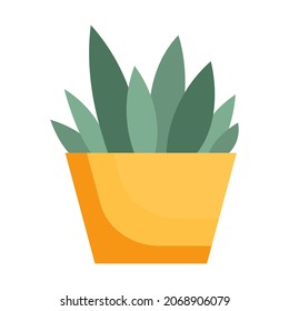 Succulen in a pot. Isolated succulent plants on a white background. Home plant for the interior. Floral element in flat style.