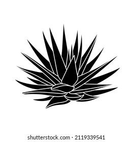 Succulent agave in simple style, vector illustration. Desert flower for print and design. Silhouette mexican plant, graphic isolated element on white background. Houseplant for decor interior