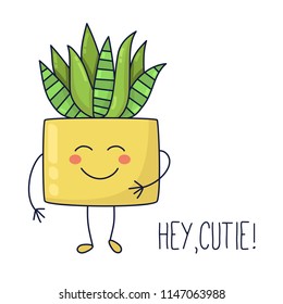 Succulent aloe cactus house plant in pot character vector