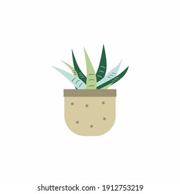 Succulent aloe vera plants in pot for house room decoration design elements. House indoor plant concept. Vector flat cartoon illustration of green potted houseplants isolated on white background