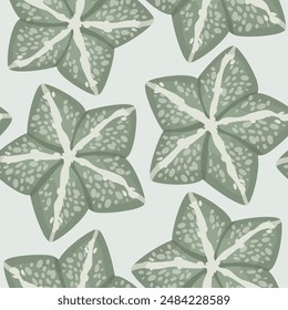 Succulent astrophytum myriotigma seamless pattern 